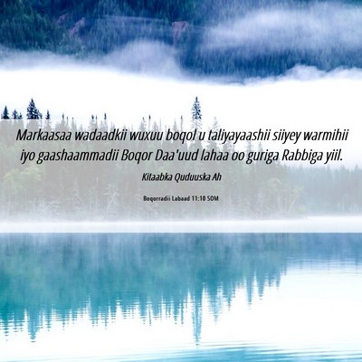 Picture 06 - Boqorradii Labaad 11:10 SOM - Markaasaa wadaadkii wuxuu boqol u taliyayaashii - Bible Verse Picture