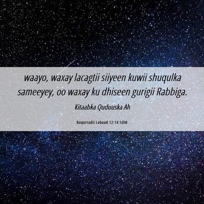 Picture 06 - Boqorradii Labaad 12:14 SOM - waayo, waxay lacagtii siiyeen kuwii shuqulka - Bible Verse Picture