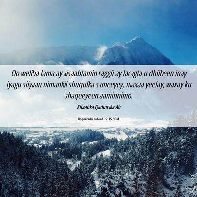 Picture 06 - Boqorradii Labaad 12:15 SOM - Oo weliba lama ay xisaabtamin raggii ay lacagta u - Bible Verse Picture
