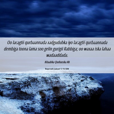 Picture 06 - Boqorradii Labaad 12:16 SOM - Oo lacagtii qurbaannada xadgudubka iyo lacagtii - Bible Verse Picture