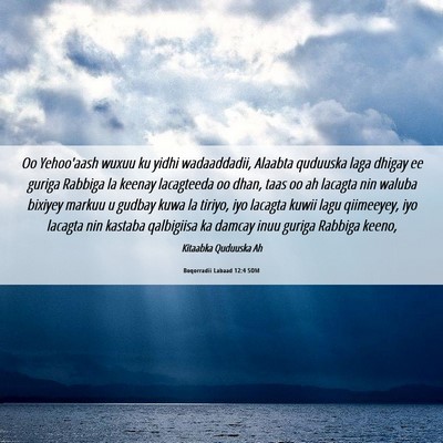 Picture 06 - Boqorradii Labaad 12:4 SOM - Oo Yehoo'aash wuxuu ku yidhi wadaaddadii, Alaabta - Bible Verse Picture