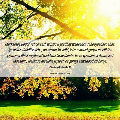 Picture 06 - Boqorradii Labaad 12:7 SOM - Markaasaa Boqor Yehoo'aash wuxuu u yeedhay - Bible Verse Picture