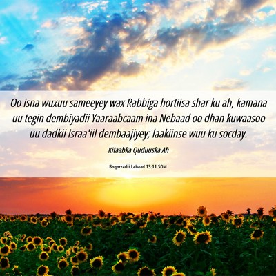 Picture 06 - Boqorradii Labaad 13:11 SOM - Oo isna wuxuu sameeyey wax Rabbiga hortiisa shar - Bible Verse Picture