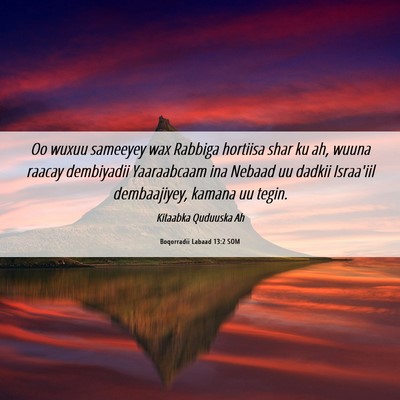 Picture 06 - Boqorradii Labaad 13:2 SOM - Oo wuxuu sameeyey wax Rabbiga hortiisa shar ku - Bible Verse Picture