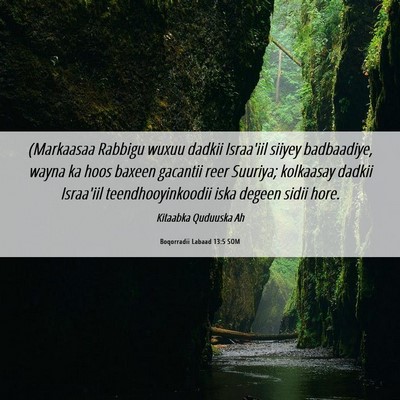 Picture 06 - Boqorradii Labaad 13:5 SOM - (Markaasaa Rabbigu wuxuu dadkii Israa'iil siiyey - Bible Verse Picture