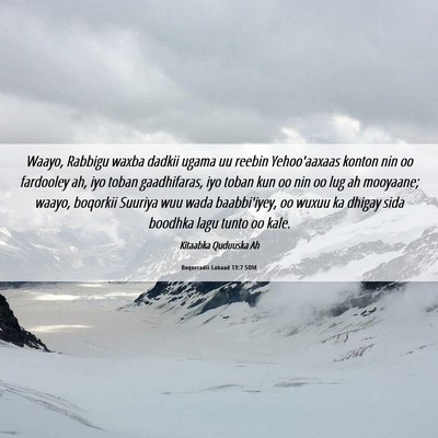 Picture 06 - Boqorradii Labaad 13:7 SOM - Waayo, Rabbigu waxba dadkii ugama uu reebin - Bible Verse Picture