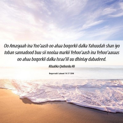 Picture 06 - Boqorradii Labaad 14:17 SOM - Oo Amasyaah ina Yoo'aash oo ahaa boqorkii dalka - Bible Verse Picture