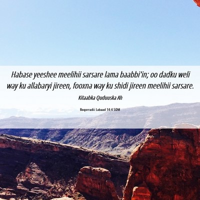 Picture 06 - Boqorradii Labaad 14:4 SOM - Habase yeeshee meelihii sarsare lama baabbi'in; - Bible Verse Picture