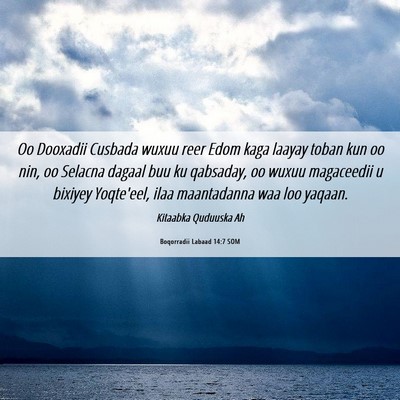 Picture 06 - Boqorradii Labaad 14:7 SOM - Oo Dooxadii Cusbada wuxuu reer Edom kaga laayay - Bible Verse Picture