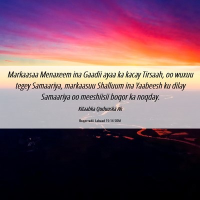 Picture 06 - Boqorradii Labaad 15:14 SOM - Markaasaa Menaxeem ina Gaadii ayaa ka kacay - Bible Verse Picture
