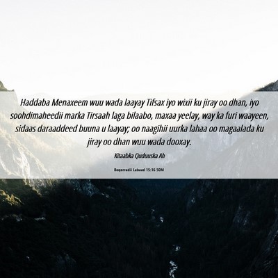 Picture 06 - Boqorradii Labaad 15:16 SOM - Haddaba Menaxeem wuu wada laayay Tifsax iyo wixii - Bible Verse Picture