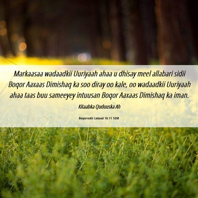 Picture 06 - Boqorradii Labaad 16:11 SOM - Markaasaa wadaadkii Uuriyaah ahaa u dhisay meel - Bible Verse Picture
