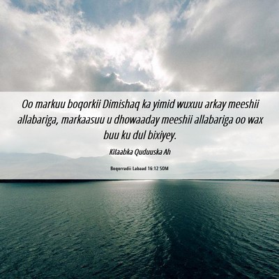Picture 06 - Boqorradii Labaad 16:12 SOM - Oo markuu boqorkii Dimishaq ka yimid wuxuu arkay - Bible Verse Picture