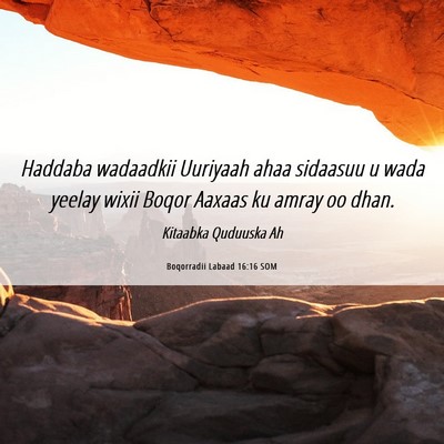 Picture 06 - Boqorradii Labaad 16:16 SOM - Haddaba wadaadkii Uuriyaah ahaa sidaasuu u wada - Bible Verse Picture