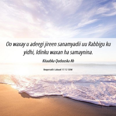 Picture 06 - Boqorradii Labaad 17:12 SOM - Oo waxay u adeegi jireen sanamyadii uu Rabbigu ku - Bible Verse Picture