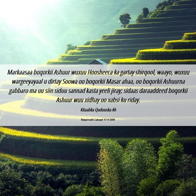 Picture 06 - Boqorradii Labaad 17:4 SOM - Markaasaa boqorkii Ashuur wuxuu Hoosheeca ka - Bible Verse Picture