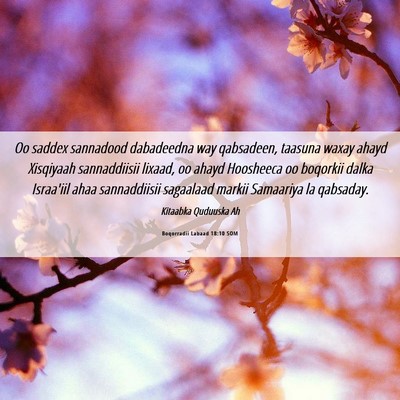 Picture 06 - Boqorradii Labaad 18:10 SOM - Oo saddex sannadood dabadeedna way qabsadeen, - Bible Verse Picture