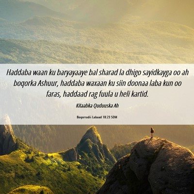 Picture 06 - Boqorradii Labaad 18:23 SOM - Haddaba waan ku baryayaaye bal sharad la dhigo - Bible Verse Picture