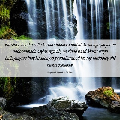 Picture 06 - Boqorradii Labaad 18:24 SOM - Bal sidee baad u celin kartaa sirkaal ka mid ah - Bible Verse Picture