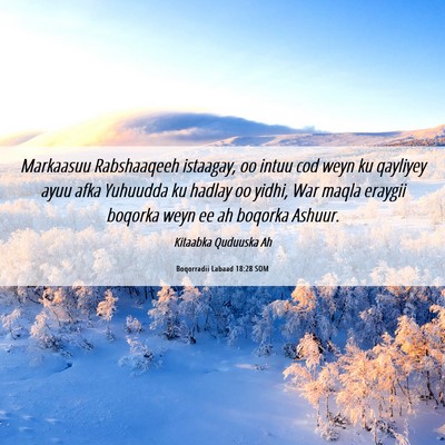 Picture 06 - Boqorradii Labaad 18:28 SOM - Markaasuu Rabshaaqeeh istaagay, oo intuu cod weyn - Bible Verse Picture