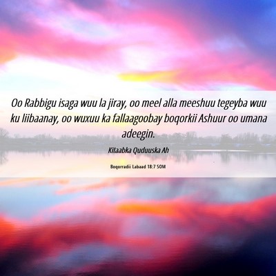 Picture 06 - Boqorradii Labaad 18:7 SOM - Oo Rabbigu isaga wuu la jiray, oo meel alla - Bible Verse Picture