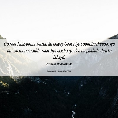 Picture 06 - Boqorradii Labaad 18:8 SOM - Oo reer Falastiinna wuxuu ku laayay Gaasa iyo - Bible Verse Picture
