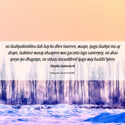 Picture 06 - Boqorradii Labaad 19:18 SOM - oo ilaahyadoodiina dab bay ku dhex tuureen, - Bible Verse Picture