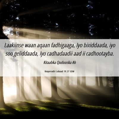 Picture 06 - Boqorradii Labaad 19:27 SOM - Laakiinse waan aqaan fadhigaaga, Iyo bixiddaada, - Bible Verse Picture