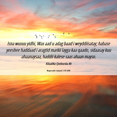 Picture 06 - Boqorradii Labaad 2:10 SOM - Isna wuxuu yidhi, Wax aad u adag baad i - Bible Verse Picture