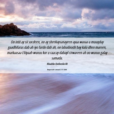 Picture 06 - Boqorradii Labaad 2:11 SOM - Oo intii ay sii socdeen, oo ay sheekaysanayeen - Bible Verse Picture