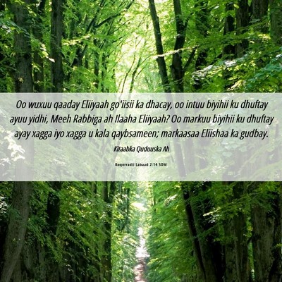 Picture 06 - Boqorradii Labaad 2:14 SOM - Oo wuxuu qaaday Eliiyaah go'iisii ka dhacay, oo - Bible Verse Picture