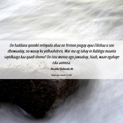 Picture 06 - Boqorradii Labaad 2:5 SOM - Oo haddana qoonkii nebiyada ahaa oo Yerixoo - Bible Verse Picture