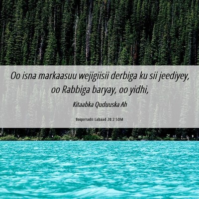 Picture 06 - Boqorradii Labaad 20:2 SOM - Oo isna markaasuu wejigiisii derbiga ku sii - Bible Verse Picture