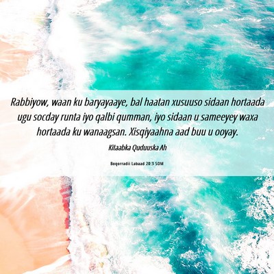 Picture 06 - Boqorradii Labaad 20:3 SOM - Rabbiyow, waan ku baryayaaye, bal haatan xusuuso - Bible Verse Picture