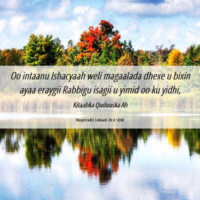 Picture 06 - Boqorradii Labaad 20:4 SOM - Oo intaanu Ishacyaah weli magaalada dhexe u bixin - Bible Verse Picture