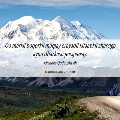 Picture 06 - Boqorradii Labaad 22:11 SOM - Oo markii boqorkii maqlay erayadii kitaabkii - Bible Verse Picture