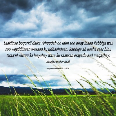 Picture 06 - Boqorradii Labaad 22:18 SOM - Laakiinse boqorkii dalka Yahuudah oo idiin soo - Bible Verse Picture