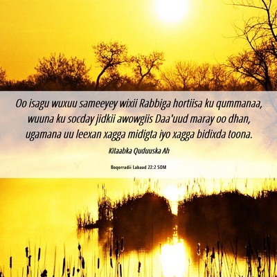 Picture 06 - Boqorradii Labaad 22:2 SOM - Oo isagu wuxuu sameeyey wixii Rabbiga hortiisa ku - Bible Verse Picture