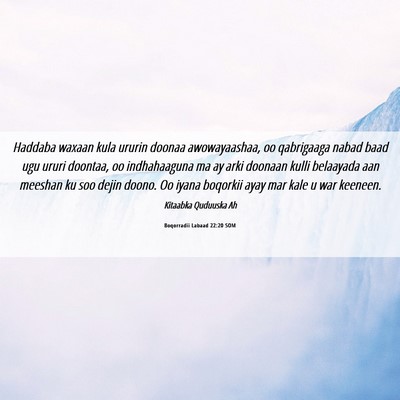 Picture 06 - Boqorradii Labaad 22:20 SOM - Haddaba waxaan kula ururin doonaa awowayaashaa, - Bible Verse Picture