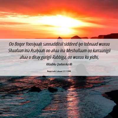 Picture 06 - Boqorradii Labaad 22:3 SOM - Oo Boqor Yoosiyaah sannaddiisii siddeed iyo - Bible Verse Picture