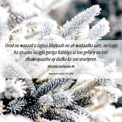 Picture 06 - Boqorradii Labaad 22:4 SOM - Orod oo waxaad u tagtaa Xilqiyaah oo ah wadaadka - Bible Verse Picture