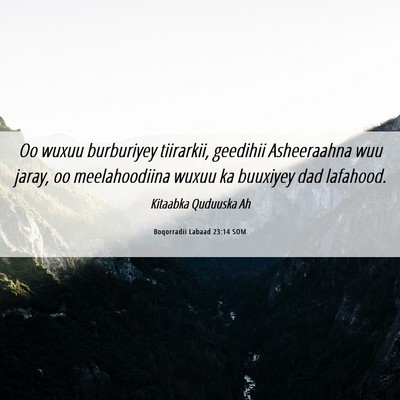 Picture 06 - Boqorradii Labaad 23:14 SOM - Oo wuxuu burburiyey tiirarkii, geedihii - Bible Verse Picture