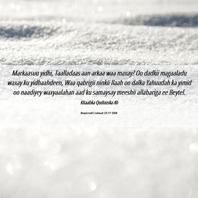 Picture 06 - Boqorradii Labaad 23:17 SOM - Markaasuu yidhi, Taalladaas aan arkaa waa maxay? - Bible Verse Picture