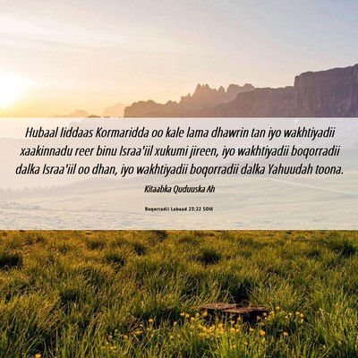 Picture 06 - Boqorradii Labaad 23:22 SOM - Hubaal Iiddaas Kormaridda oo kale lama dhawrin - Bible Verse Picture