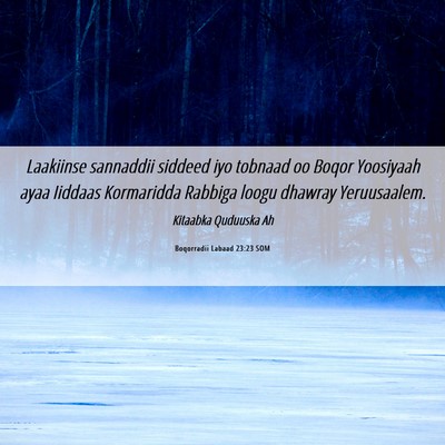 Picture 06 - Boqorradii Labaad 23:23 SOM - Laakiinse sannaddii siddeed iyo tobnaad oo Boqor - Bible Verse Picture