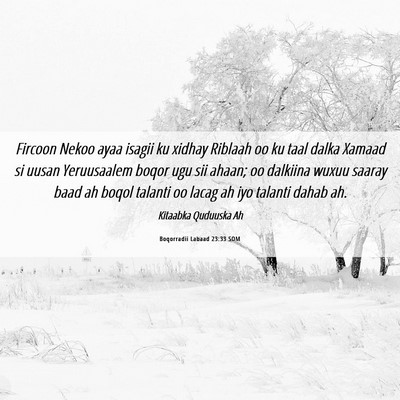 Picture 06 - Boqorradii Labaad 23:33 SOM - Fircoon Nekoo ayaa isagii ku xidhay Riblaah oo ku - Bible Verse Picture
