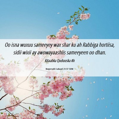 Picture 06 - Boqorradii Labaad 23:37 SOM - Oo isna wuxuu sameeyey wax shar ku ah Rabbiga - Bible Verse Picture