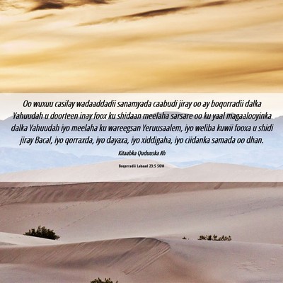 Picture 06 - Boqorradii Labaad 23:5 SOM - Oo wuxuu casilay wadaaddadii sanamyada caabudi - Bible Verse Picture
