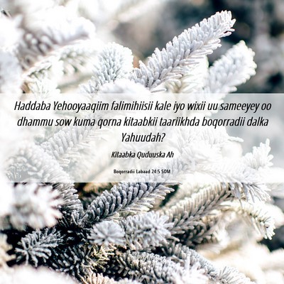 Picture 06 - Boqorradii Labaad 24:5 SOM - Haddaba Yehooyaaqiim falimihiisii kale iyo wixii - Bible Verse Picture