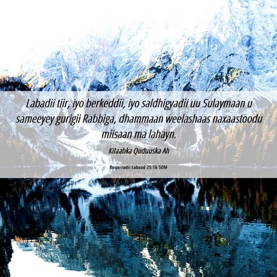Picture 06 - Boqorradii Labaad 25:16 SOM - Labadii tiir, iyo berkeddii, iyo saldhigyadii uu - Bible Verse Picture